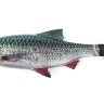 Мягкая приманка Savage Gear 4D LB River Roach 180 Green/Silver, 18см, 70гр